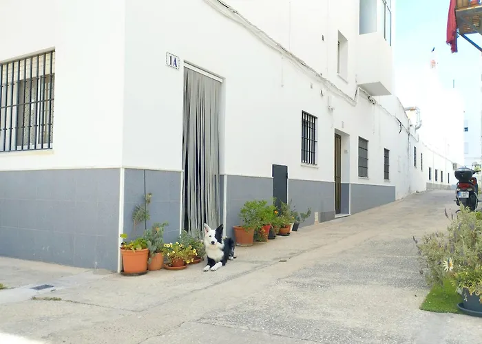 Anita Conil Apartament Conil De La Frontera