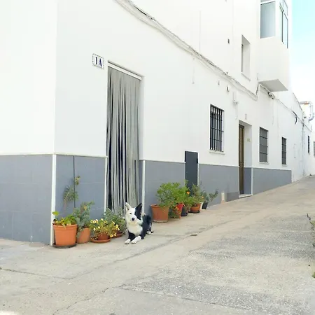 Anita Conil Apartmán Conil De La Frontera